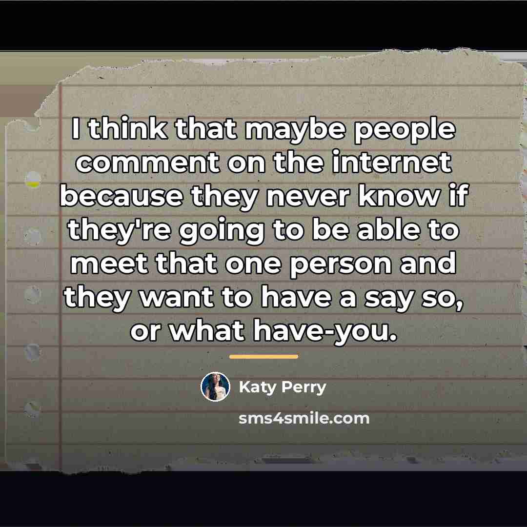 “I think that maybe people comment on the internet because…” quote by Katy Perry