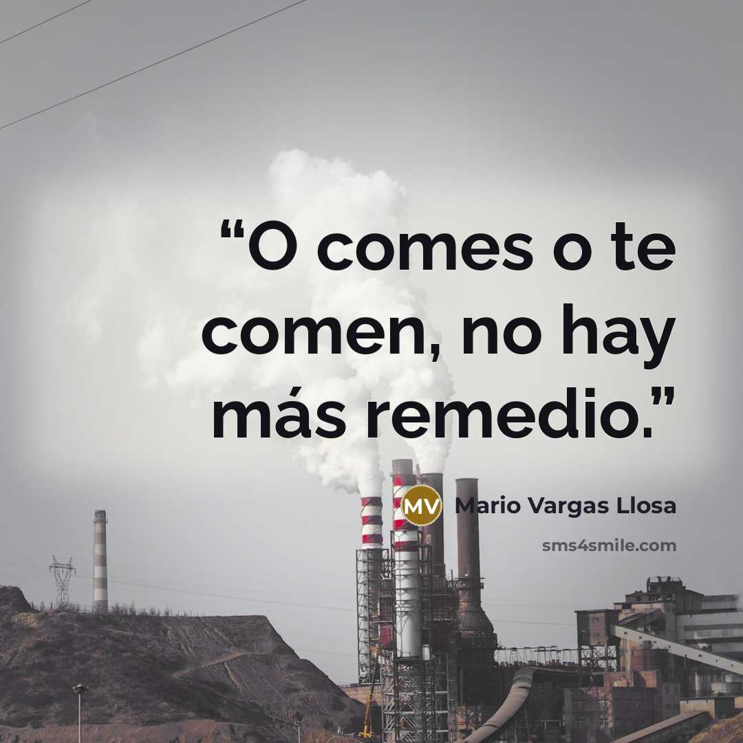 “O comes o te comen, no hay más remedio.” quote by Mario Vargas Llosa