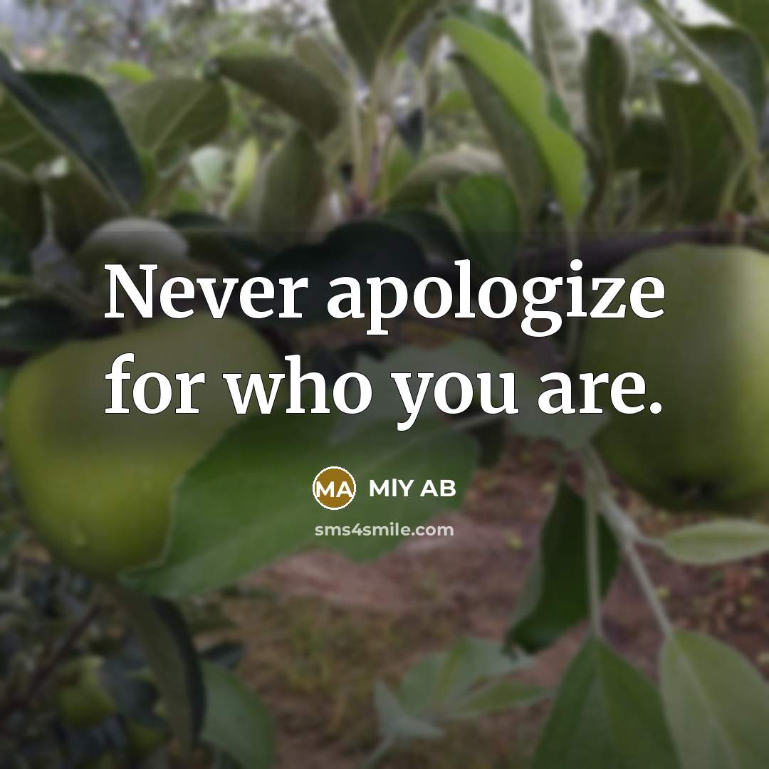 “Never apologize for who you are.…” quote by MLY AB