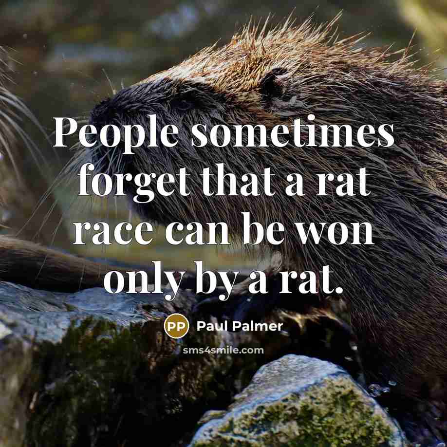 “People sometimes forget that a rat race can be won only by a rat.” quote by Paul Palmer