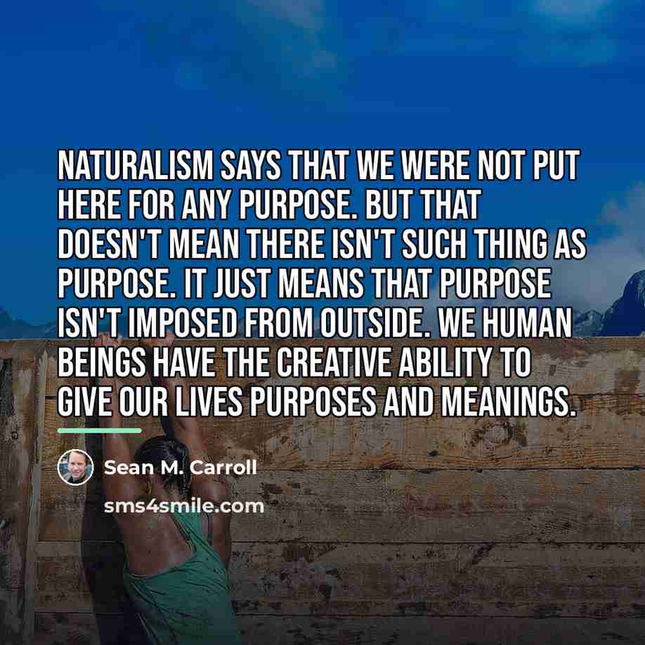 “Naturalism says that we were not put here for any…” quote by Sean M. Carroll