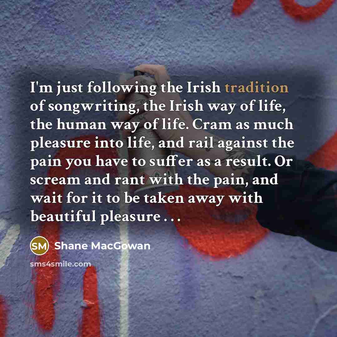 “I'm just following the Irish tradition of songwriting, the Irish…” quote by Shane MacGowan