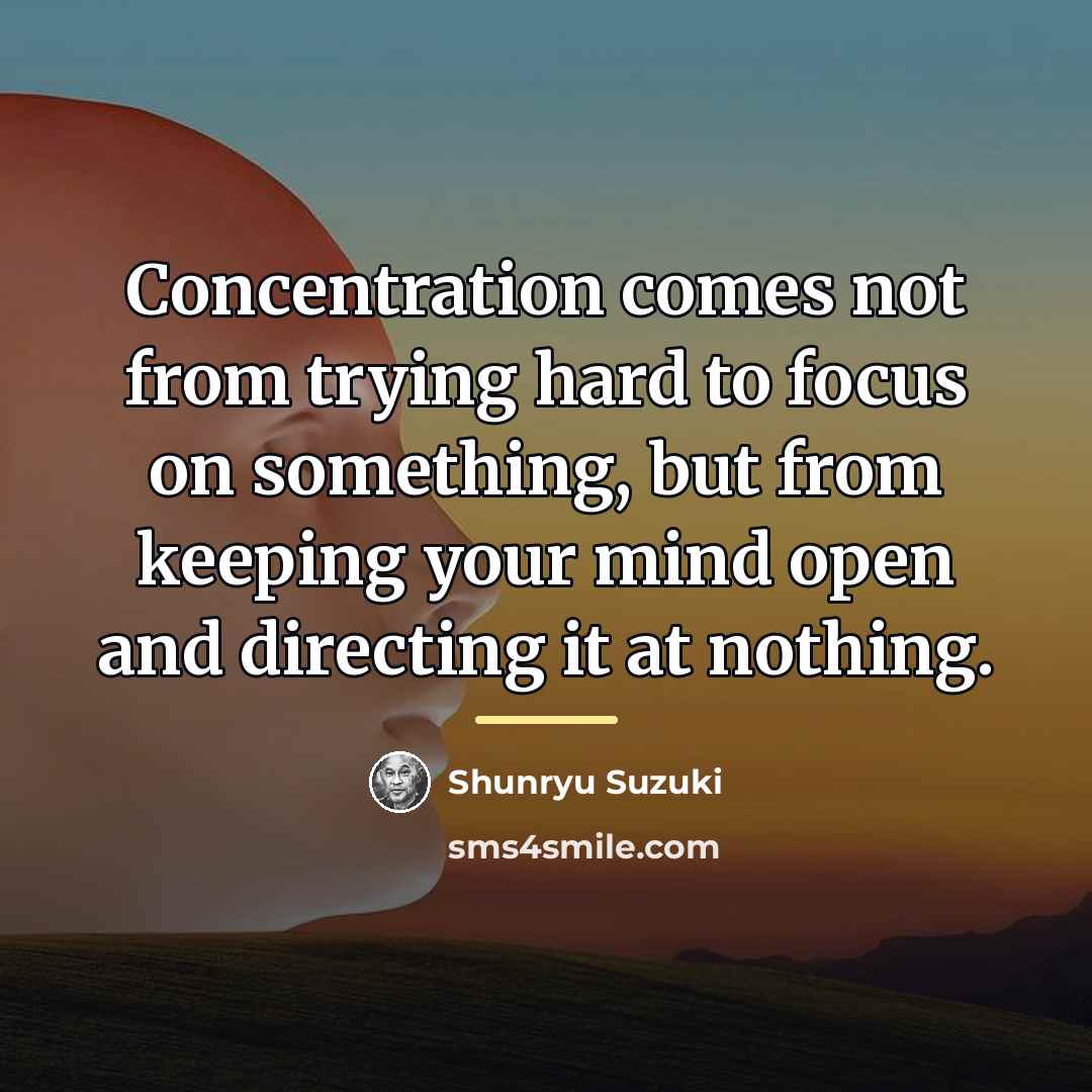 “Concentration comes not from trying hard to focus on something,…” quote by Shunryu Suzuki