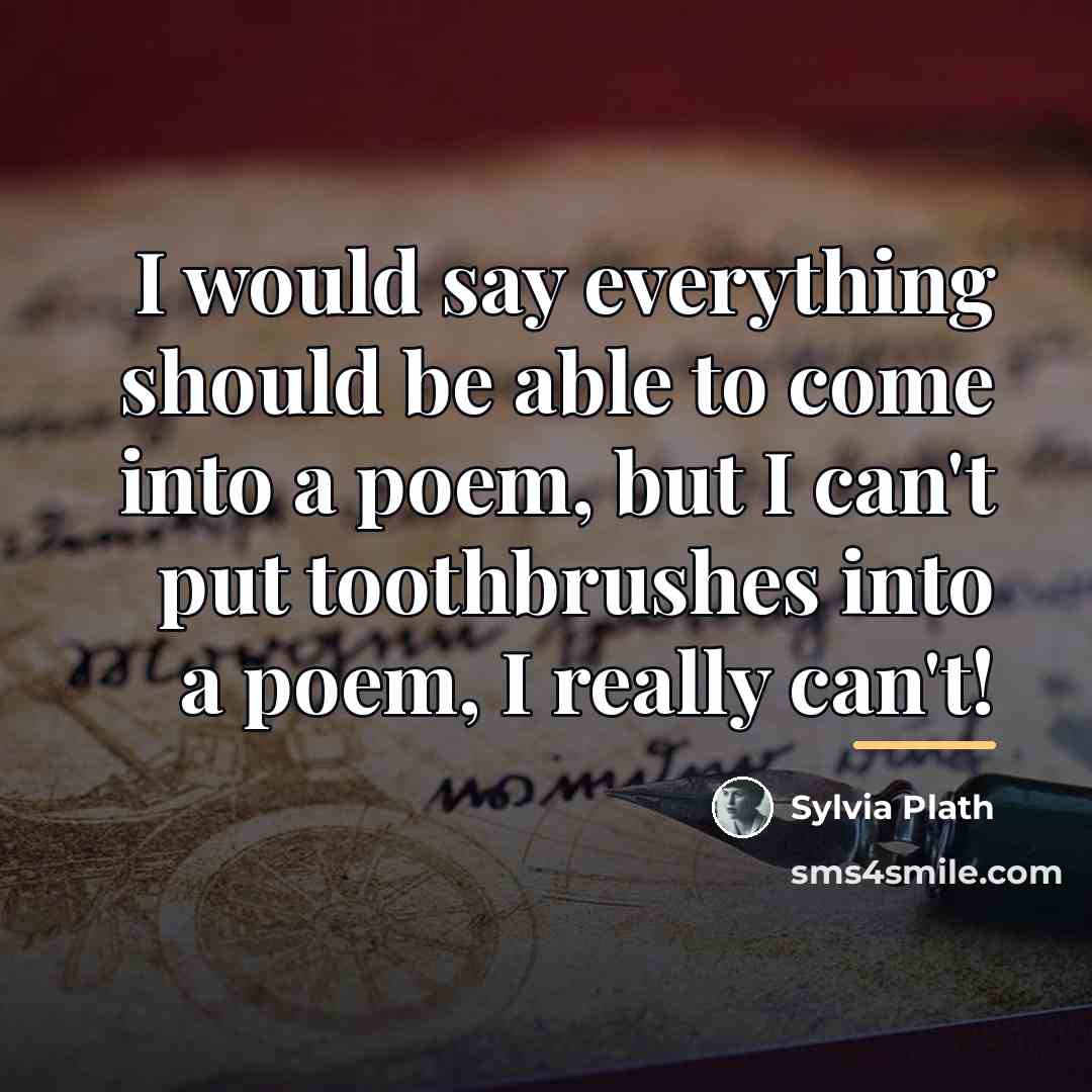 “I would say everything should be able to come into…” quote by Sylvia Plath