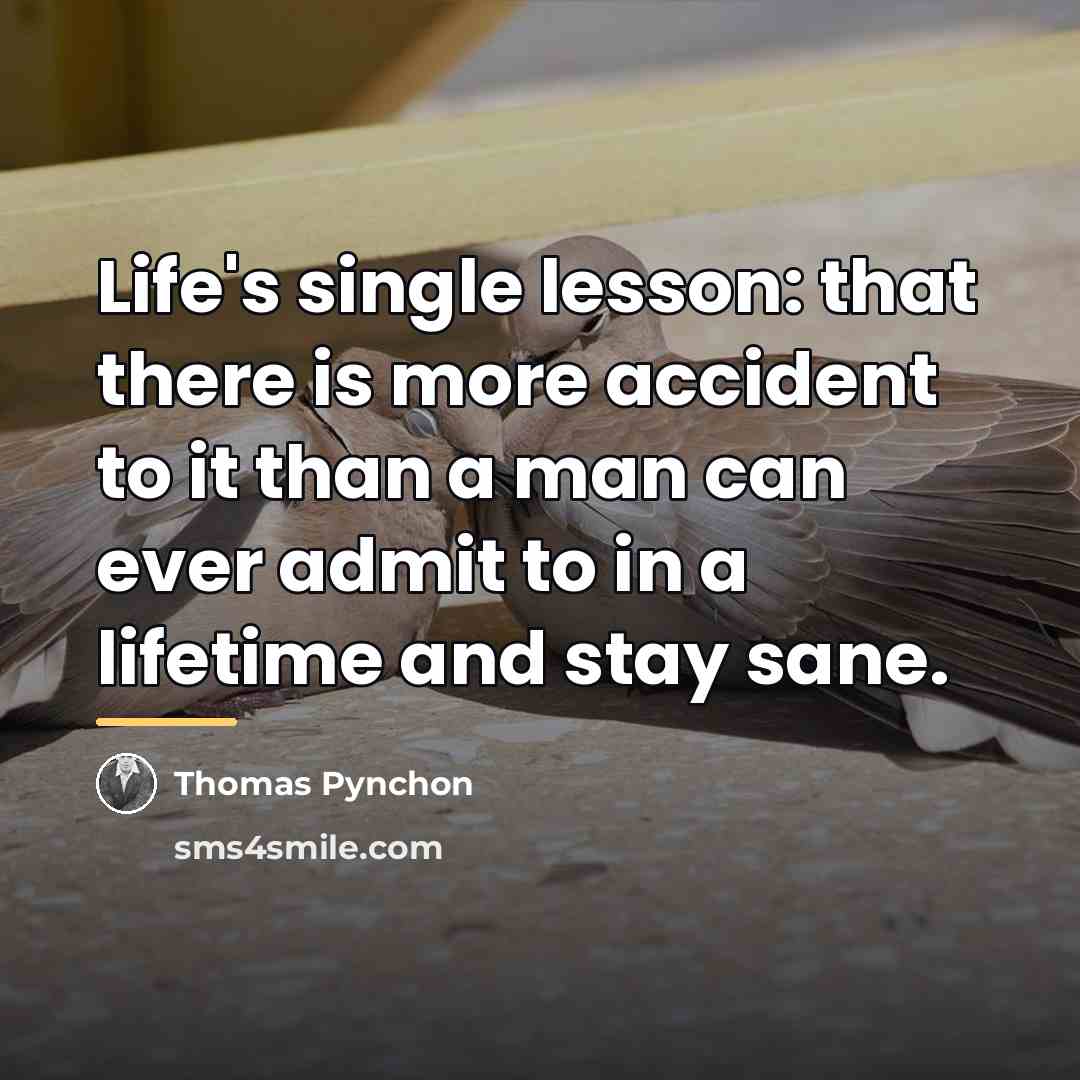 “Life's single lesson: that there is more accident to it…” quote by Thomas Pynchon