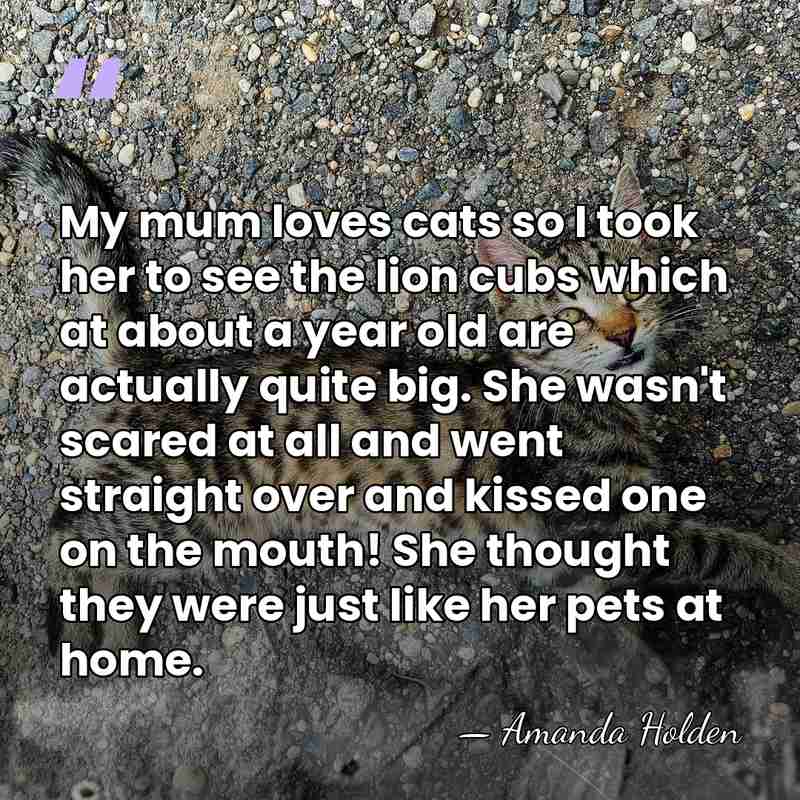 My mum loves cats so I took her to see the lion&hellip; - Amanda Holden