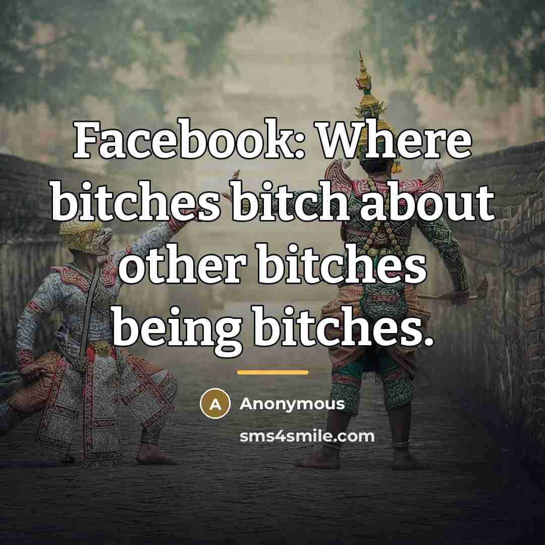 “Facebook: Where bitches bitch about other bitches being bitches.…” quote by Anonymous