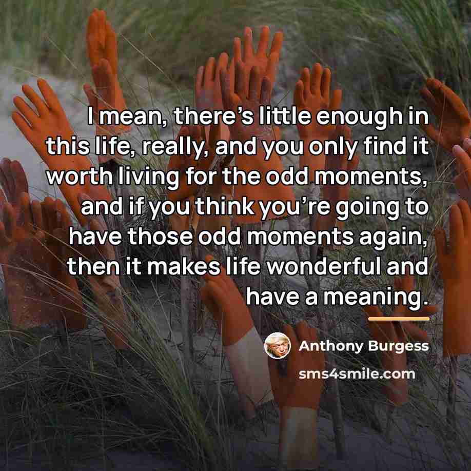 “I mean, there's little enough in this life, really, and…” quote by Anthony Burgess