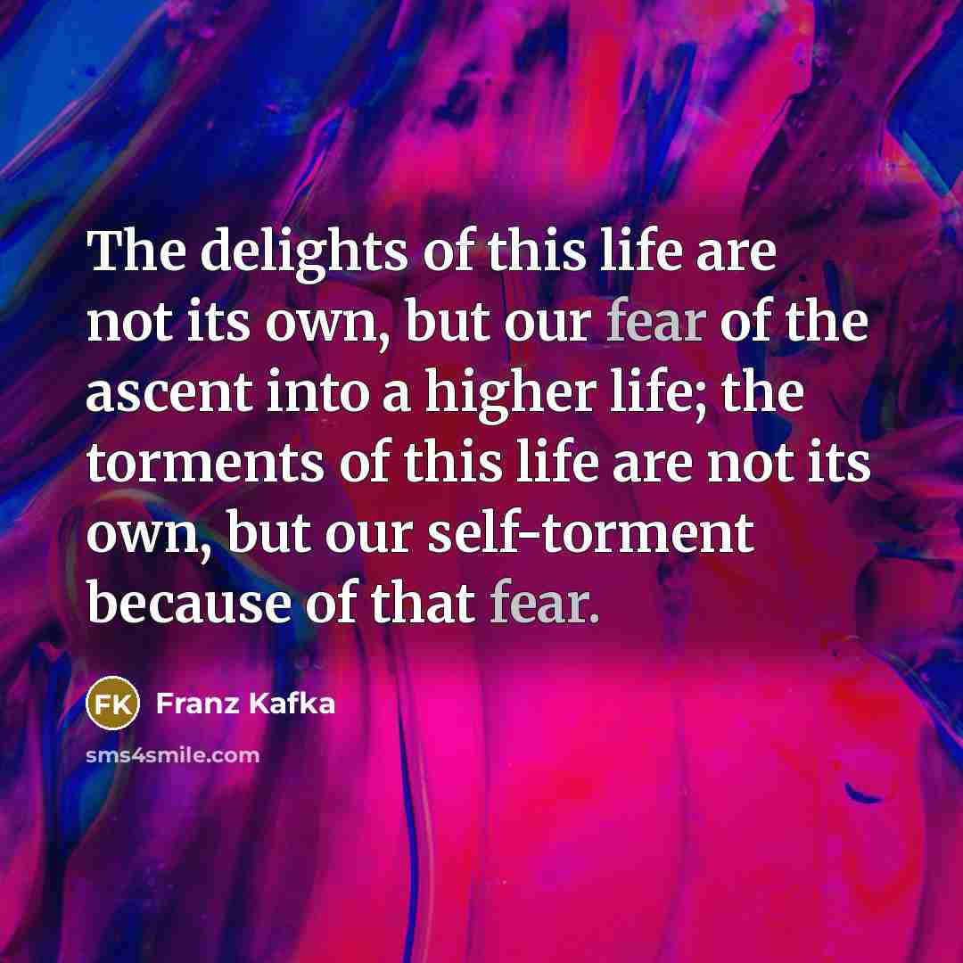 “The delights of this life are not its own, but…” quote by Franz Kafka