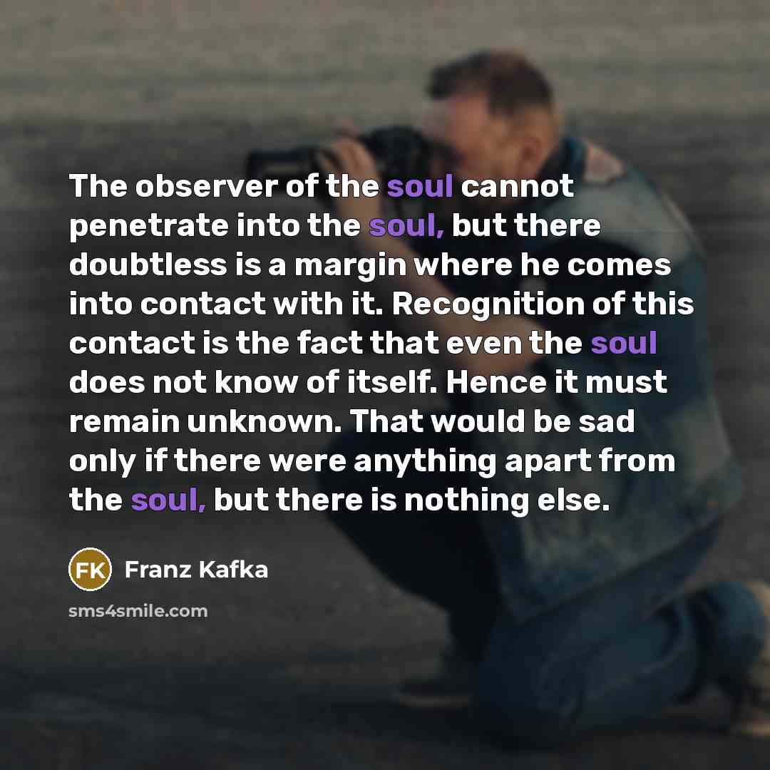 “The observer of the soul cannot penetrate into the soul,…” quote by Franz Kafka