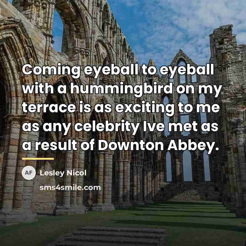 “Coming eyeball to eyeball with a hummingbird on my terrace…” quote by Lesley Nicol