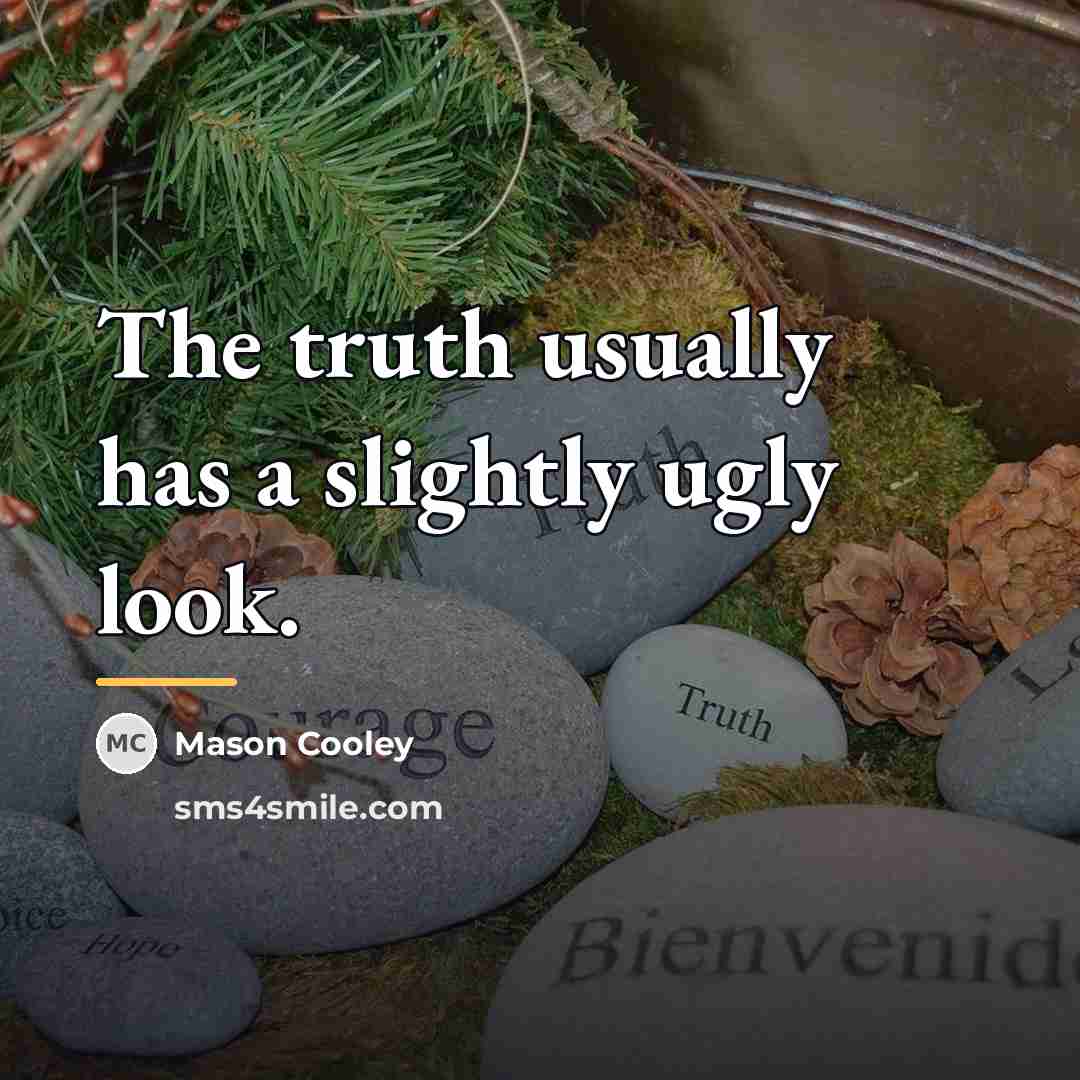 “The truth usually has a slightly ugly look.…” quote by Mason Cooley