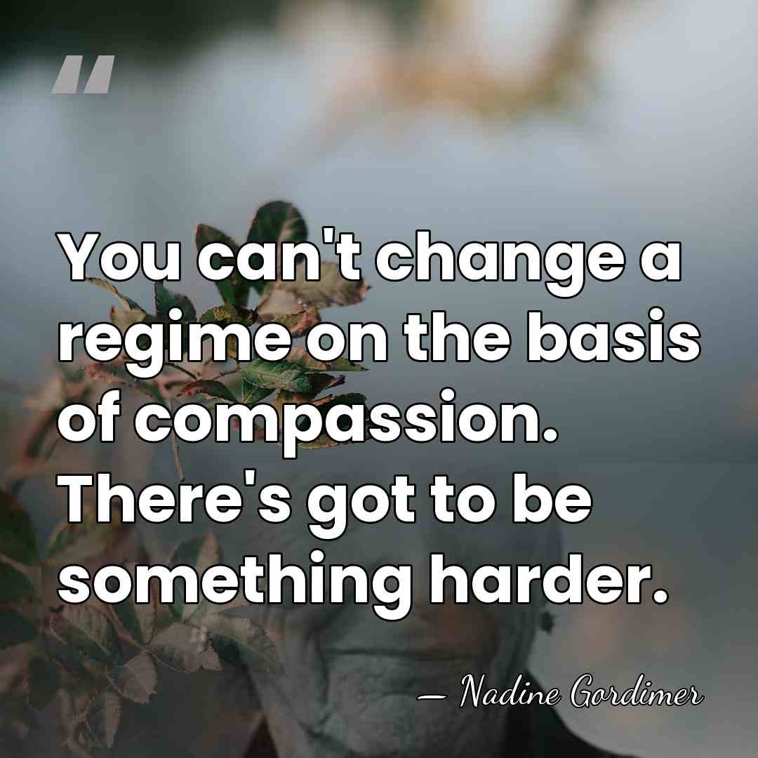 You can't change a regime on the basis of compassion. There's got&hellip; - Nadine Gordimer