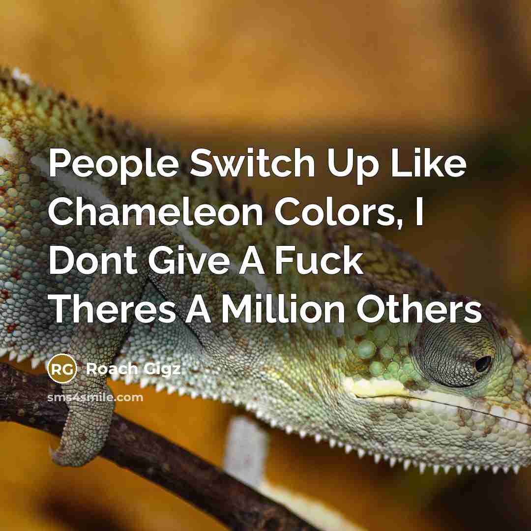 “People Switch Up Like Chameleon Colors, I Dont Give A Fuck Theres A Million Others” quote by Roach Gigz