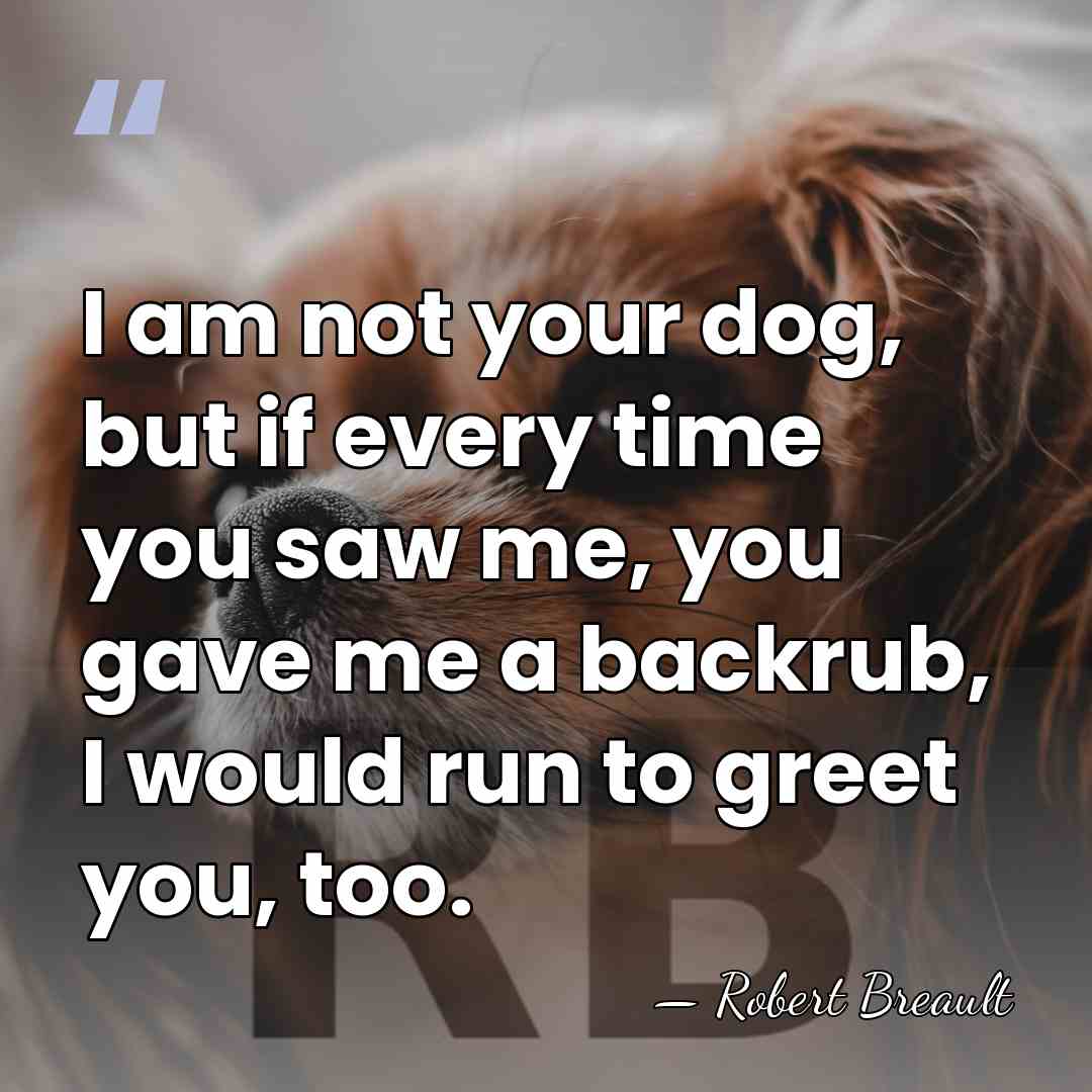 I am not your dog, but if every time you saw me,&hellip; - Robert Breault