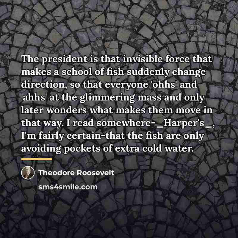 “The president is that invisible force that makes a school…” quote by Theodore Roosevelt