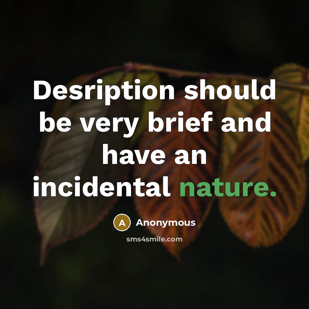 “Desription should be very brief and have an incidental nature.” quote by Anonymous
