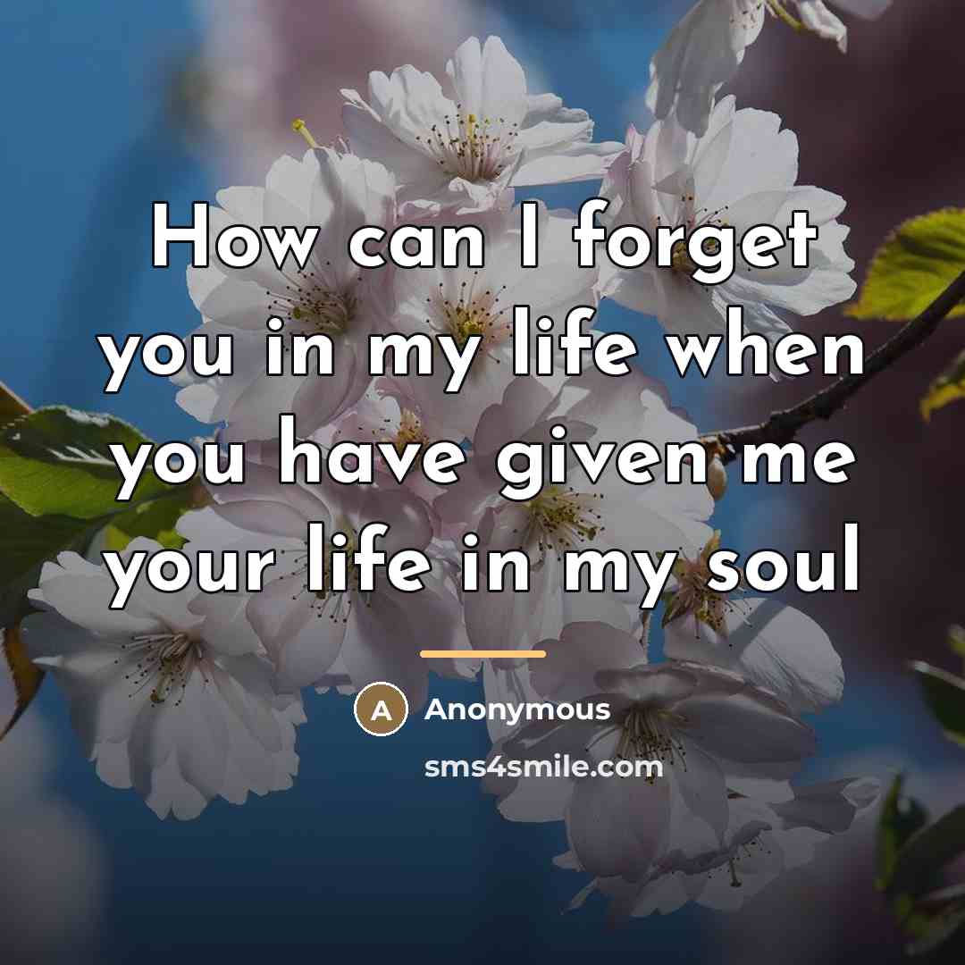 “How can I forget you in my life when you…” quote by Anonymous