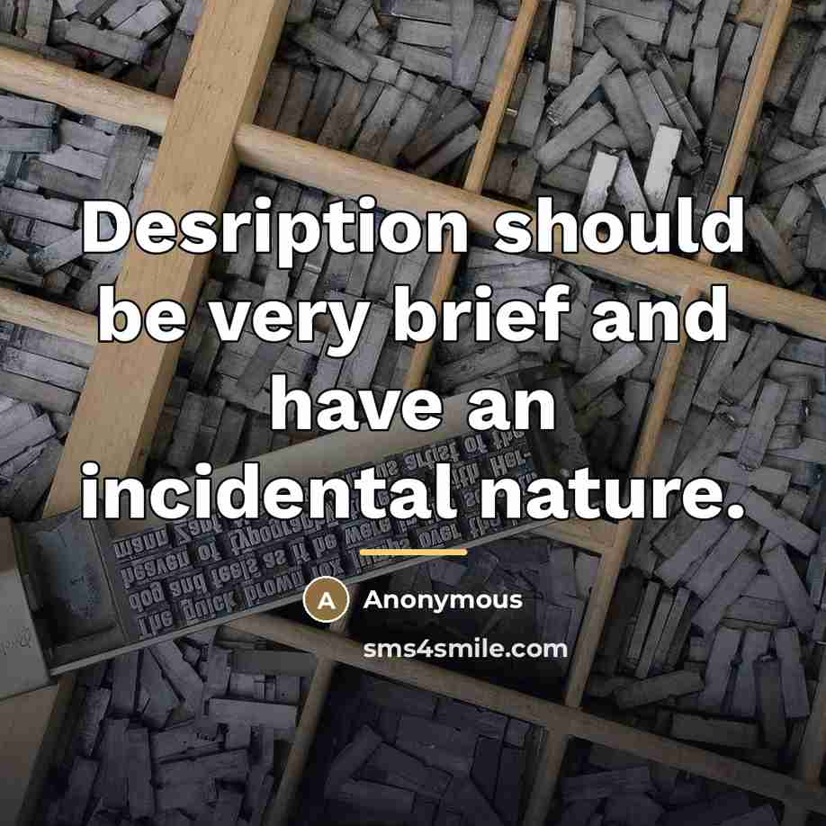 “Desription should be very brief and have an incidental nature.…” quote by Anonymous