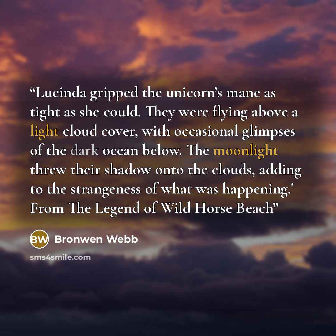 “Lucinda gripped the unicorn’s mane as tight as she could. They were flying above a light cloud cover, with occasional glimpses of the dark ocean below. The moonlight threw their shadow onto the clouds, adding to the strangeness of what was happening.' From The Legend of Wild Horse Beach” quote by Bronwen Webb