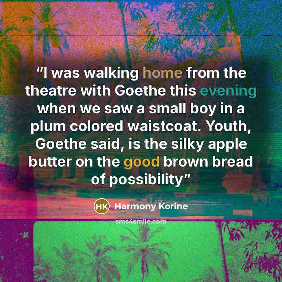 “I was walking home from the theatre with Goethe this evening when we saw a small boy in a plum colored waistcoat. Youth, Goethe said, is the silky apple butter on the good brown bread of possibility” quote by Harmony Korine