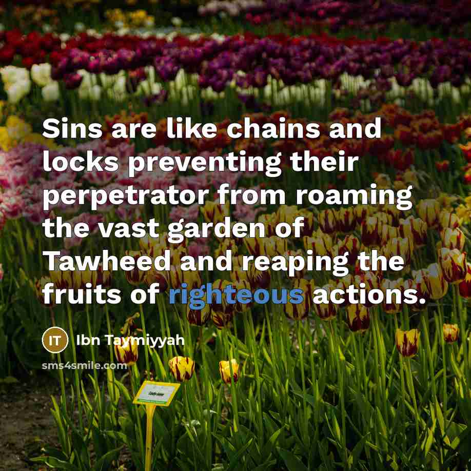 “Sins are like chains and locks preventing their perpetrator from…” quote by Ibn Taymiyyah