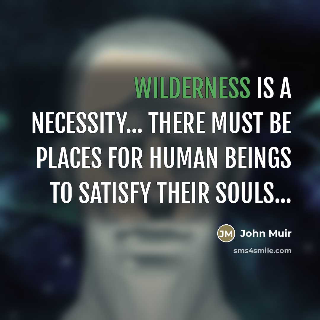 “Wilderness is a necessity... there must be places for human…” quote by John Muir