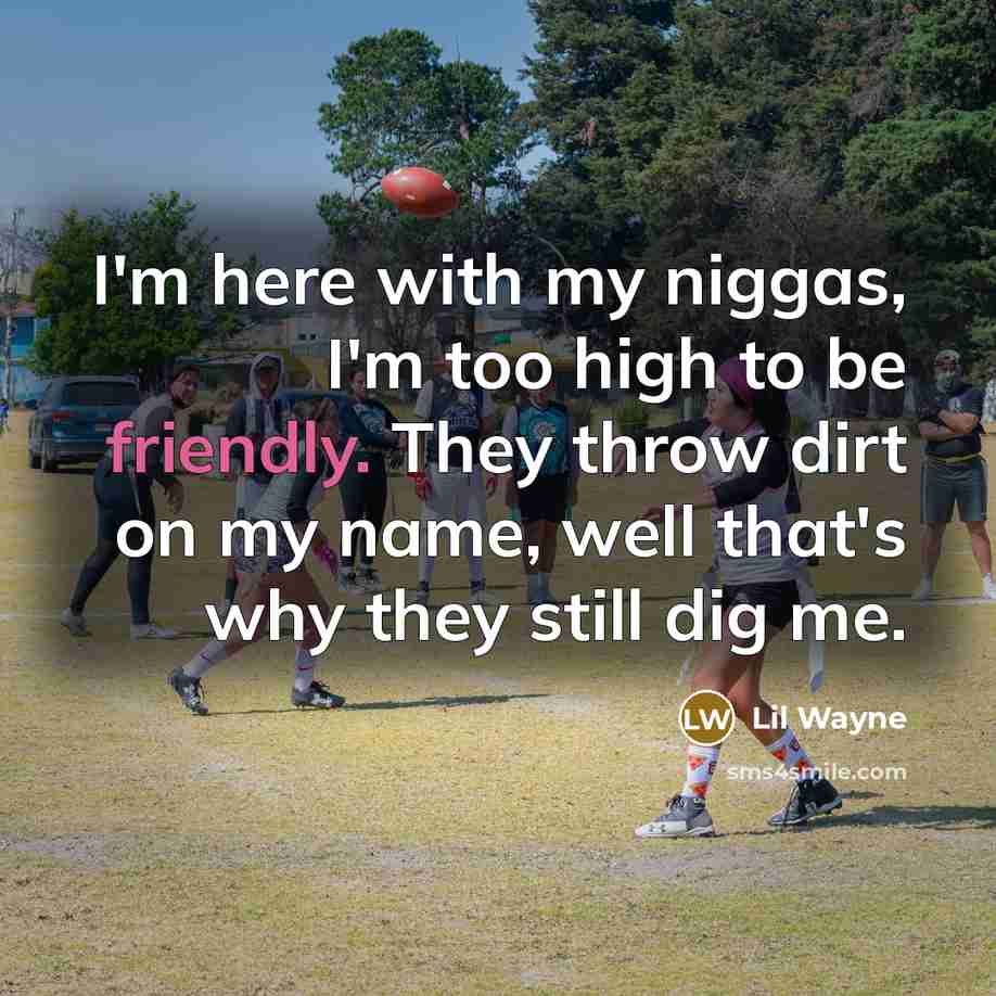 “I'm here with my niggas, I'm too high to be…” quote by Lil Wayne