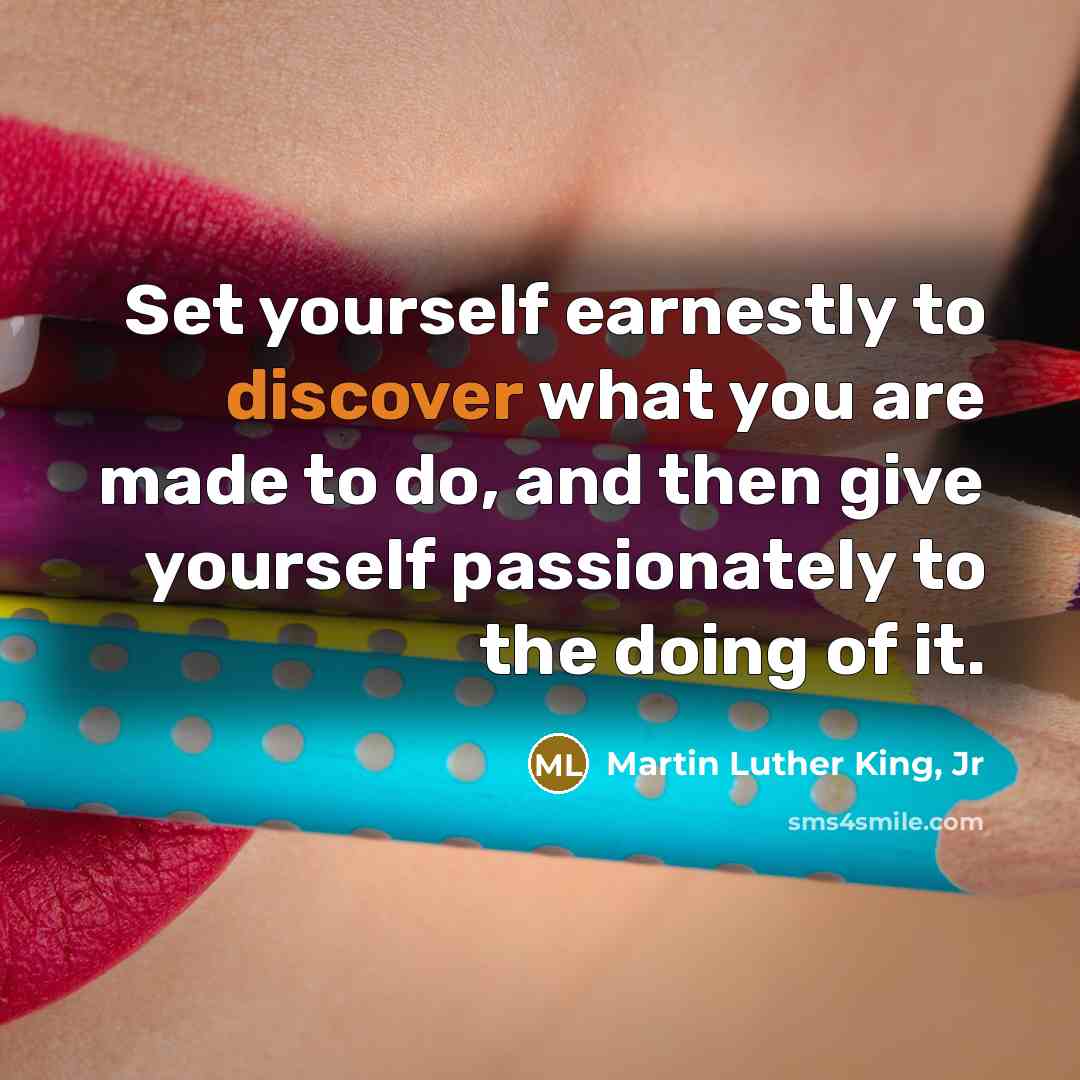 “Set yourself earnestly to discover what you are made to…” quote by Martin Luther King, Jr