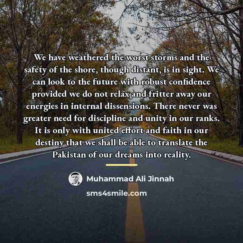 “We have weathered the worst storms and the safety of…” quote by Muhammad Ali Jinnah