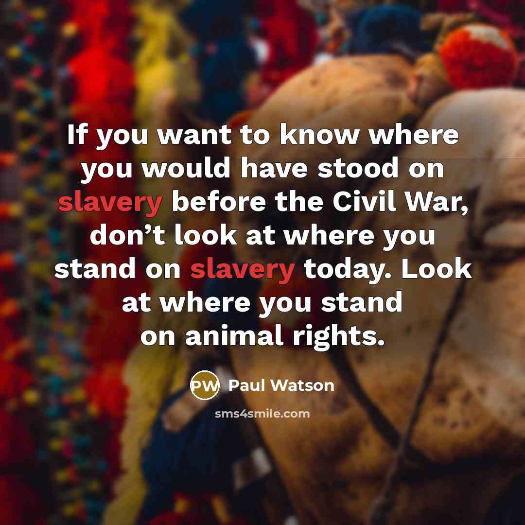 “If you want to know where you would have stood…” quote by Paul Watson