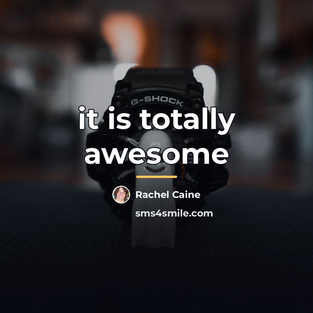 “it is totally awesome…” quote by Rachel Caine