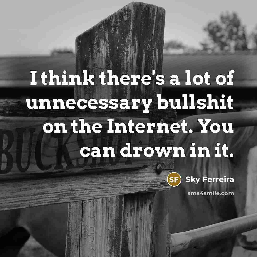 “I think there's a lot of unnecessary bullshit on the…” quote by Sky Ferreira
