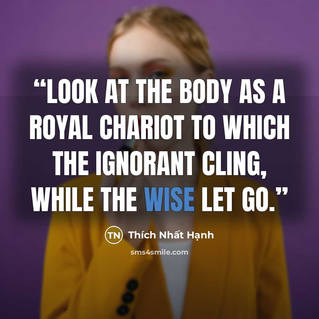 “Look at the body as a royal chariot to which the ignorant cling, while the wise let go.” quote by Thích Nhất Hạnh
