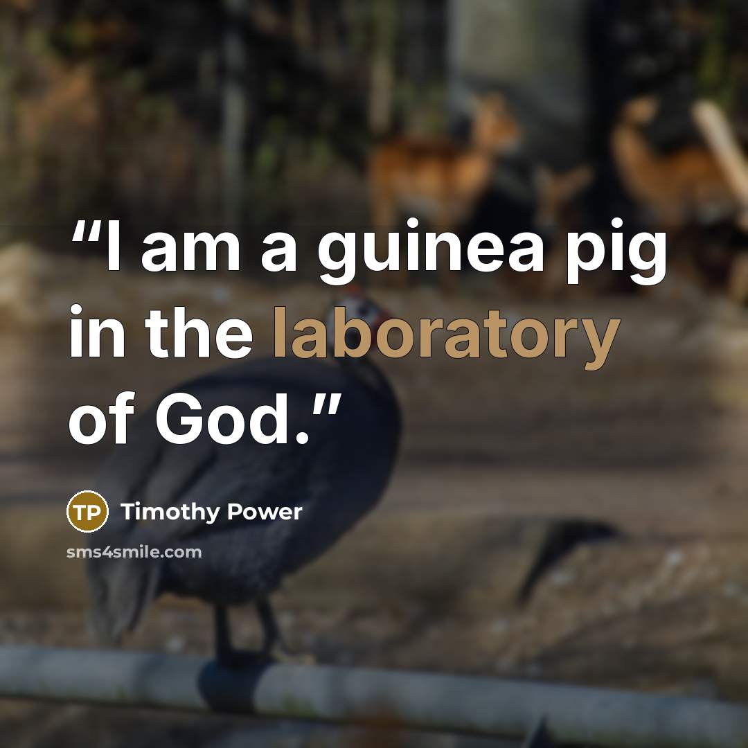“I am a guinea pig in the laboratory of God.” quote by Timothy Power
