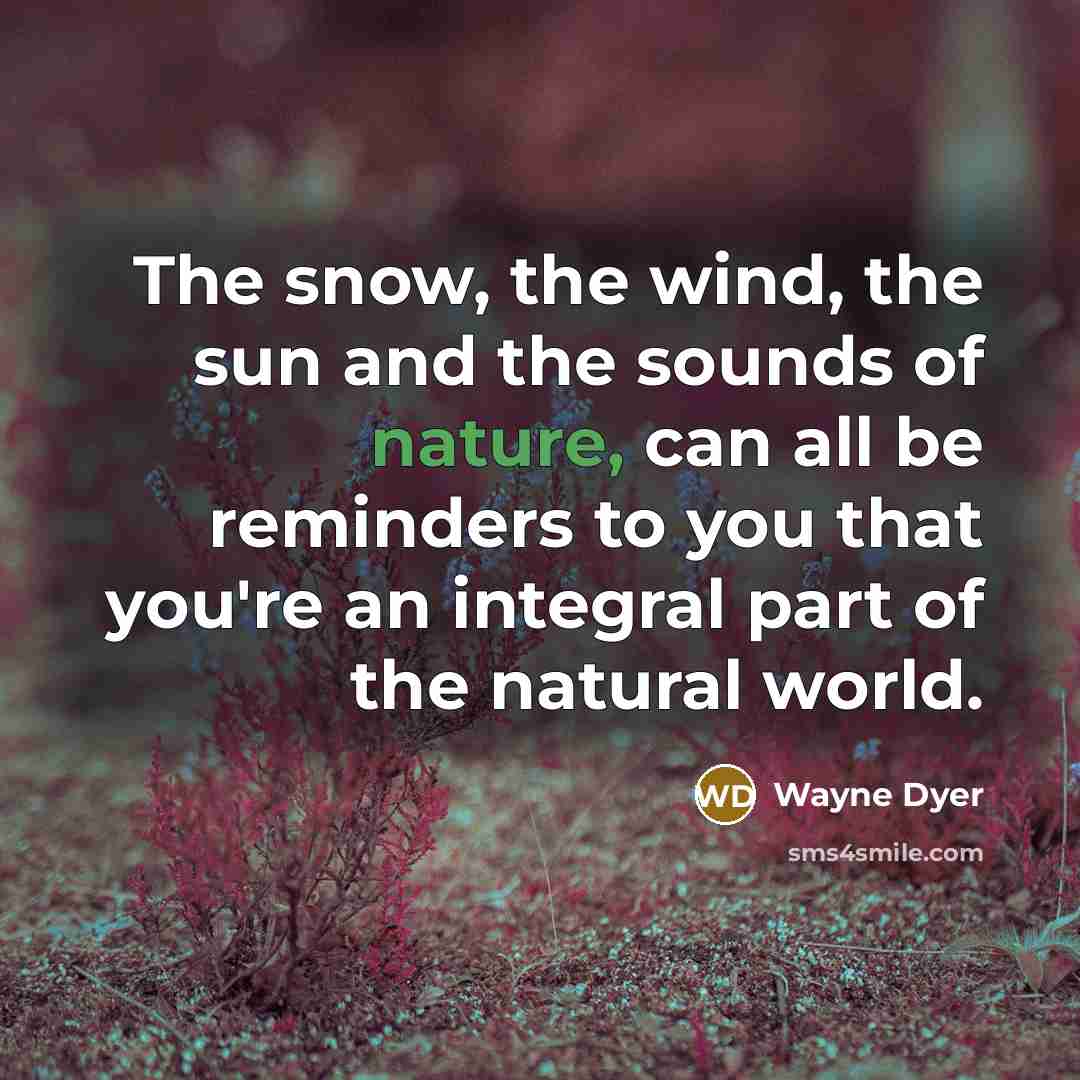“The snow, the wind, the sun and the sounds of…” quote by Wayne Dyer