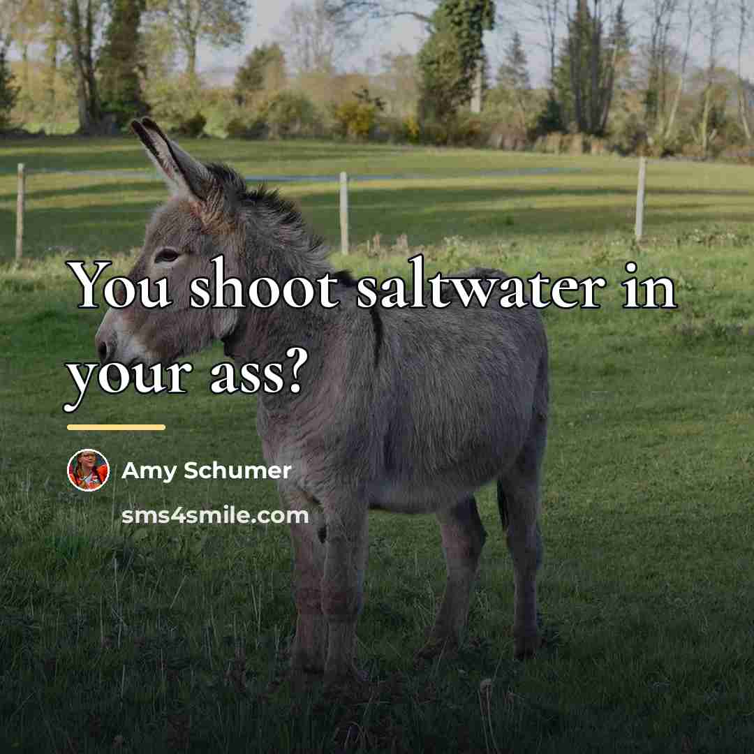 “You shoot saltwater in your ass?…” quote by Amy Schumer