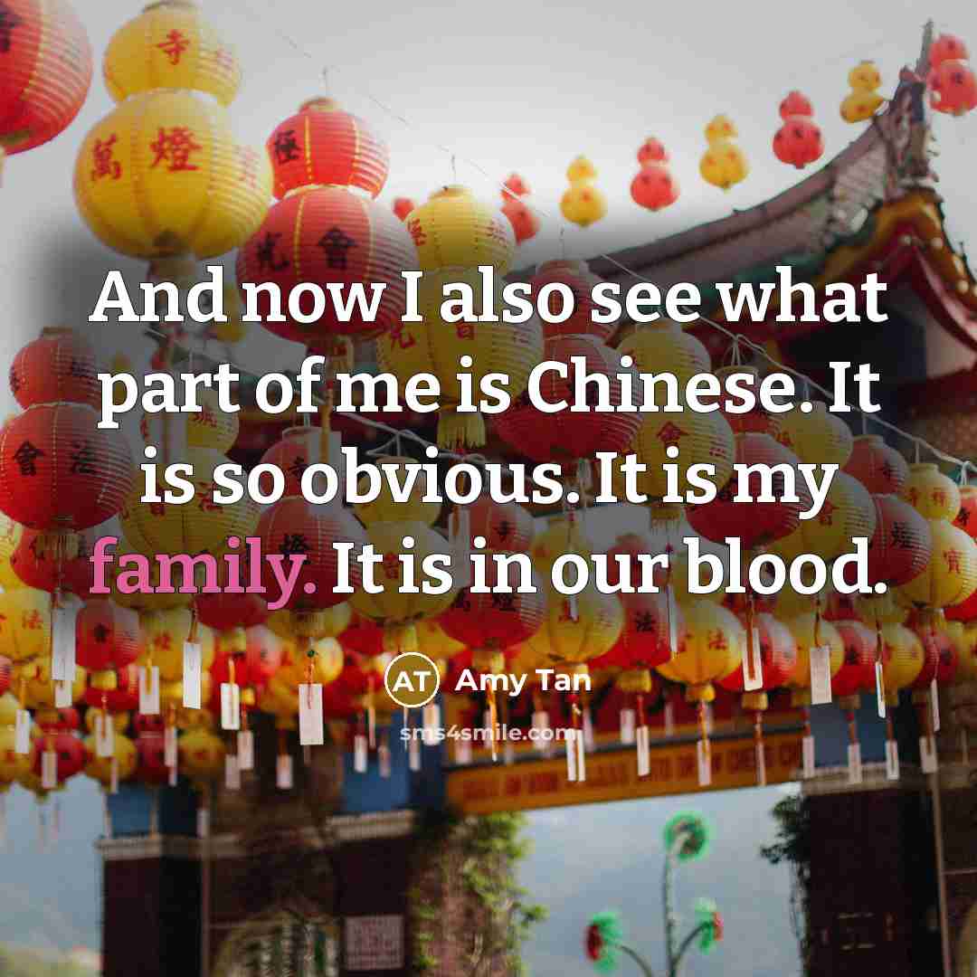 “And now I also see what part of me is…” quote by Amy Tan