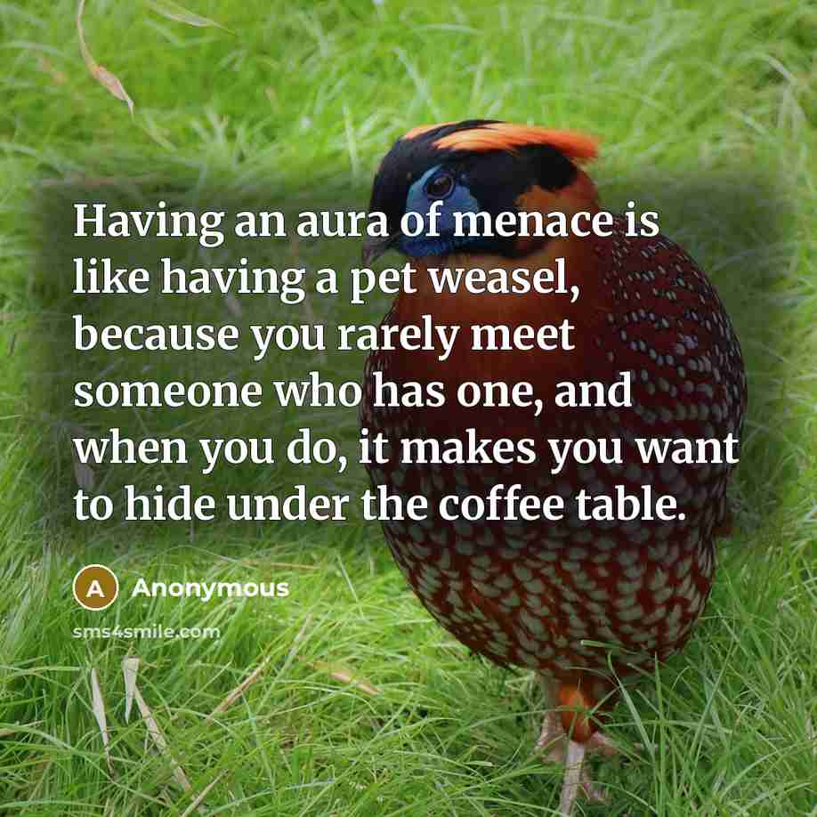“Having an aura of menace is like having a pet…” quote by Anonymous
