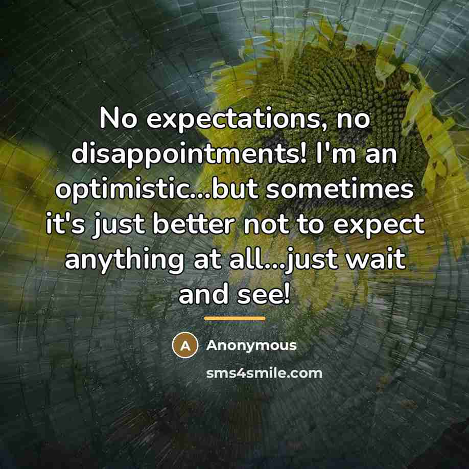 “No expectations, no disappointments! I'm an optimistic...but sometimes it's just…” quote by Anonymous