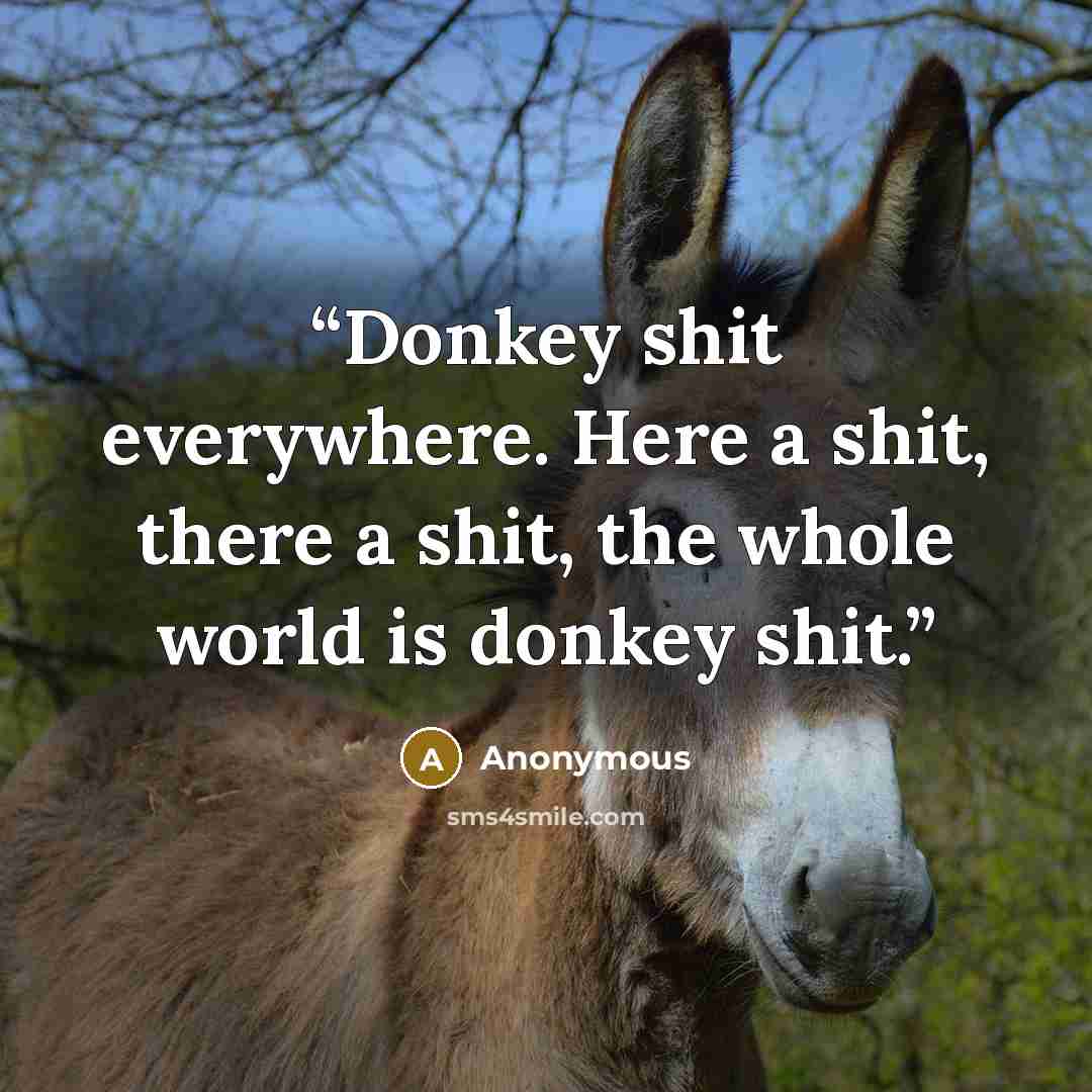 “Donkey shit everywhere. Here a shit, there a shit, the whole world is donkey shit.” quote by Anonymous