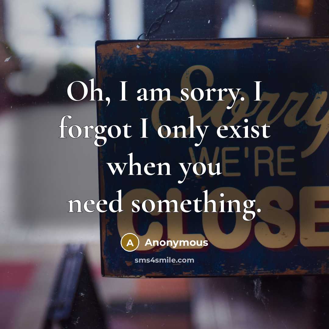 “Oh, I am sorry. I forgot I only exist when you need something.” quote by Anonymous