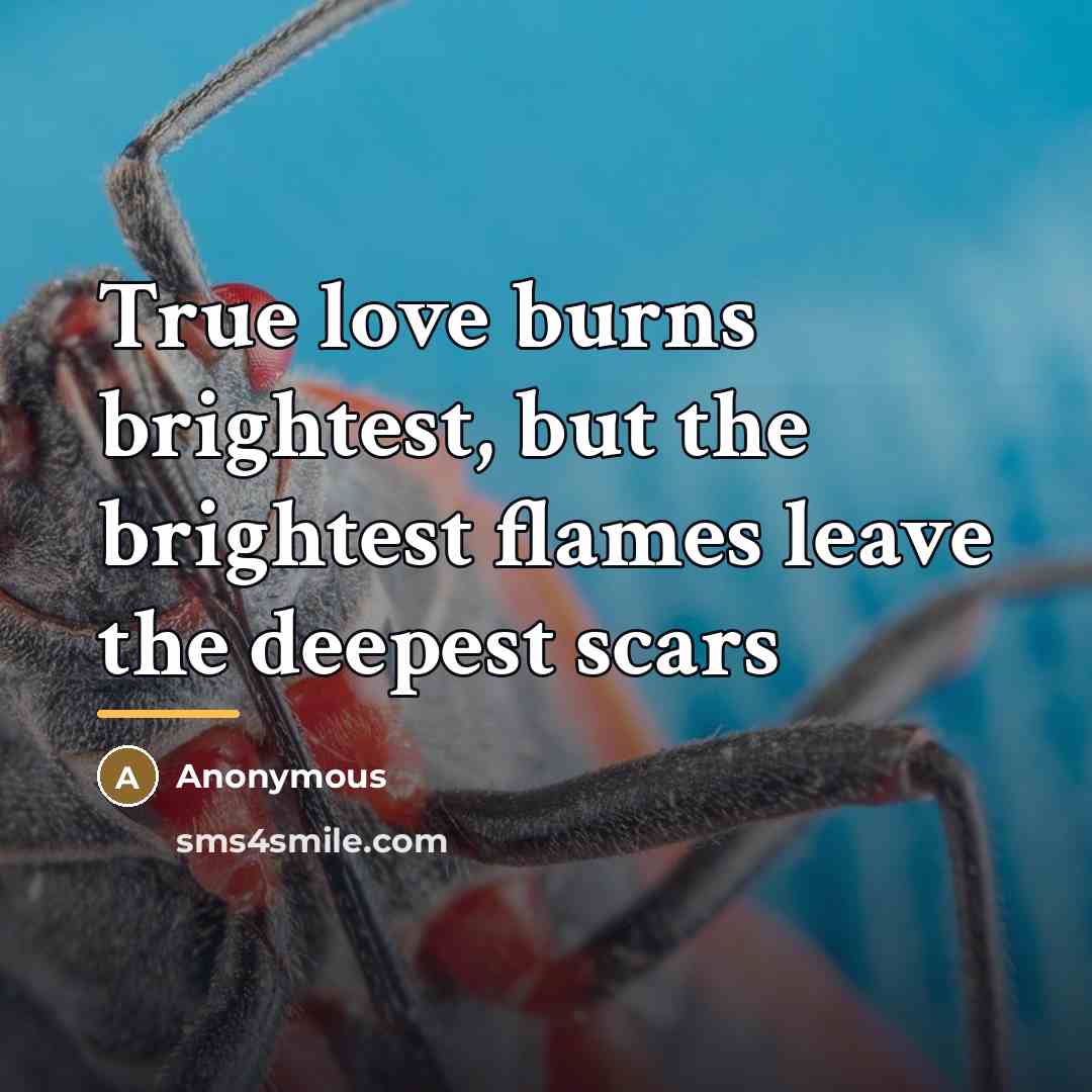 “True love burns brightest, but the brightest flames leave the…” quote by Anonymous