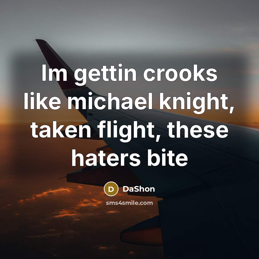 “Im gettin crooks like michael knight, taken flight, these haters bite” quote by DaShon