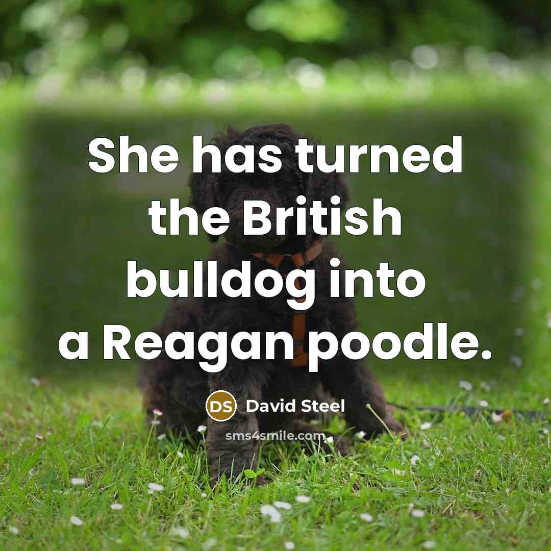 “She has turned the British bulldog into a Reagan poodle.” quote by David Steel