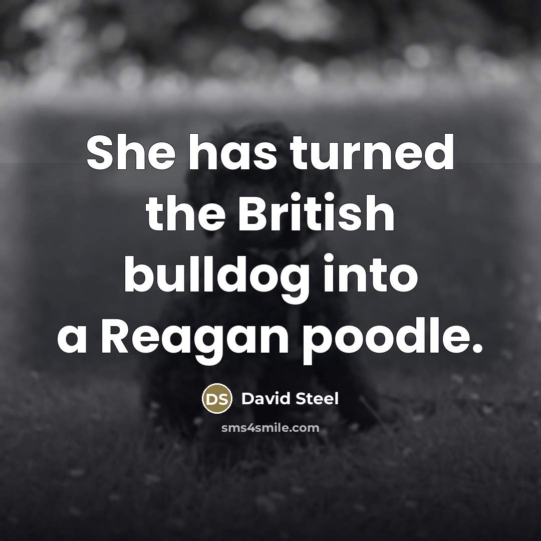 “She has turned the British bulldog into a Reagan poodle.…” quote by David Steel
