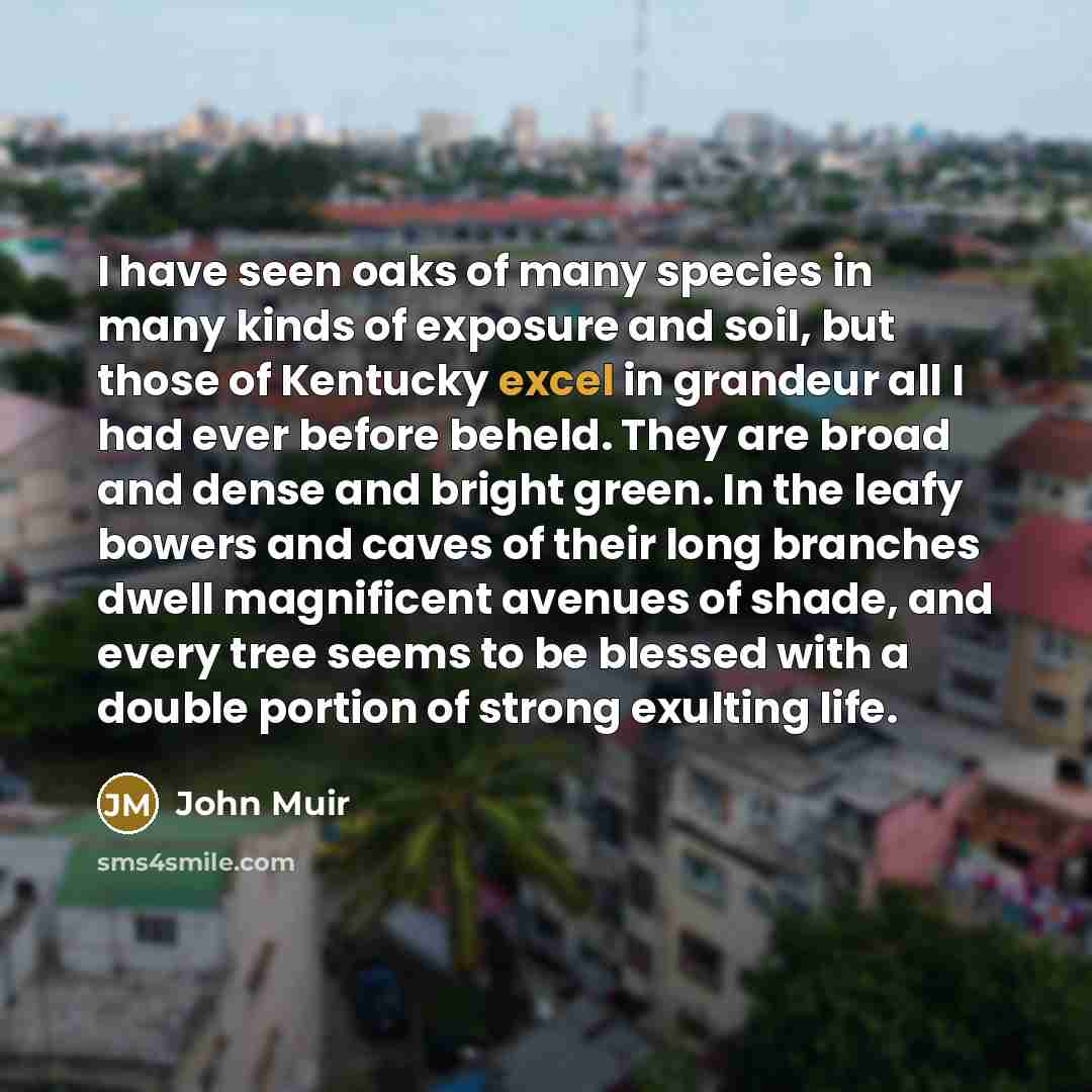 “I have seen oaks of many species in many kinds…” quote by John Muir