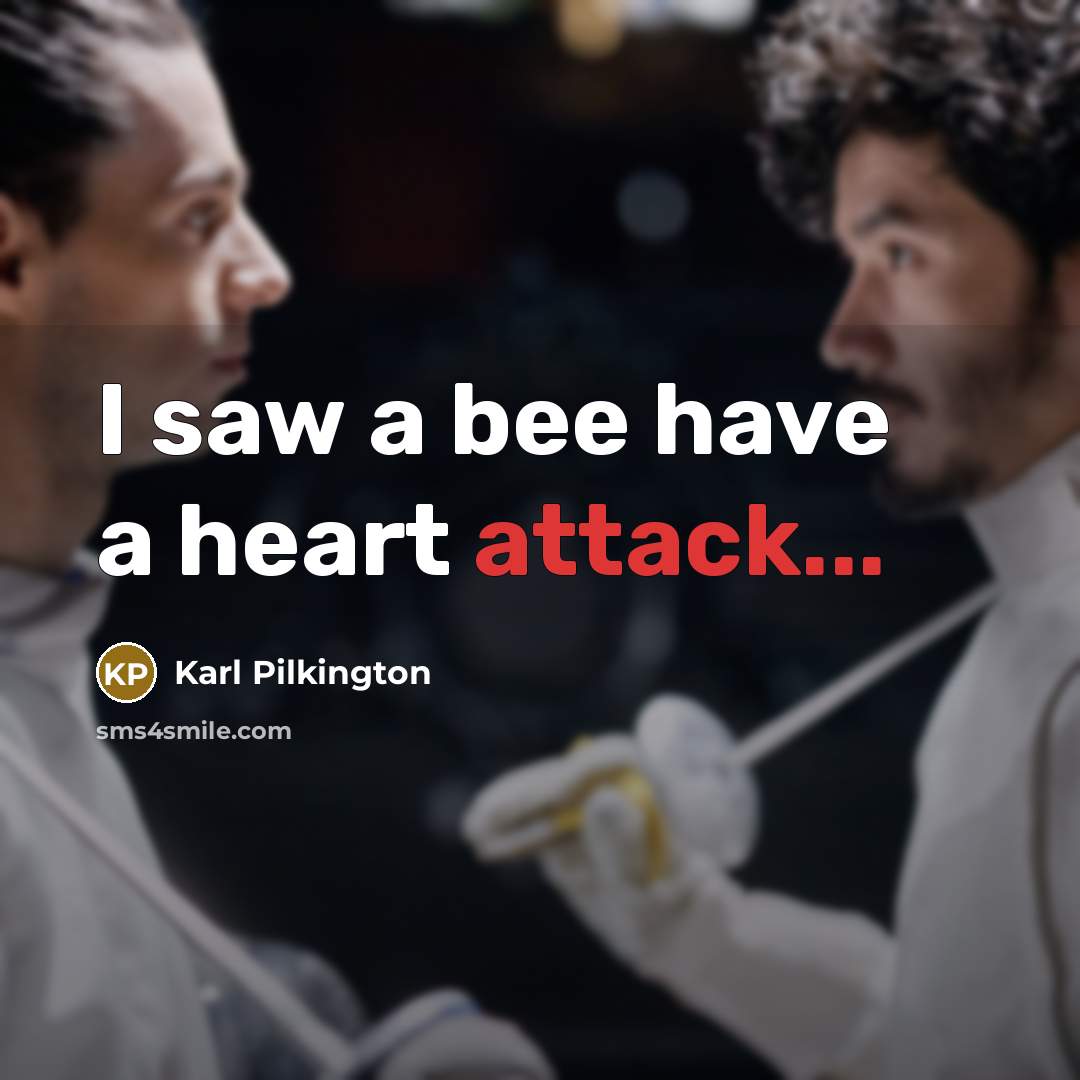 “I saw a bee have a heart attack...” quote by Karl Pilkington