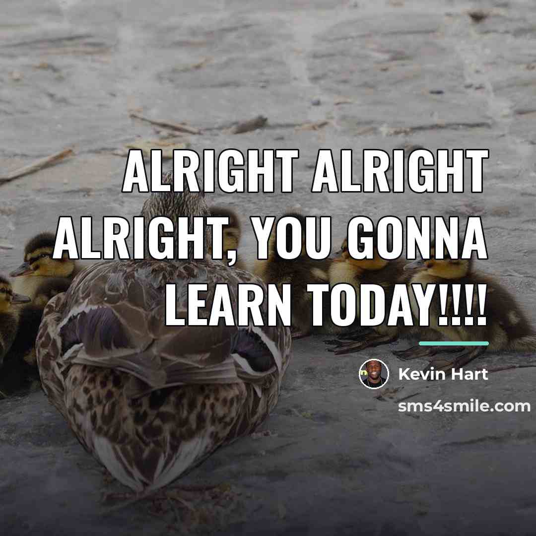 “Alright alright alright, you gonna learn today!!!!…” quote by Kevin Hart