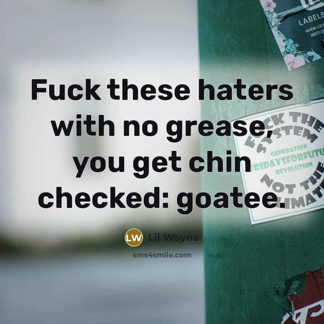 “Fuck these haters with no grease, you get chin checked:…” quote by Lil Wayne